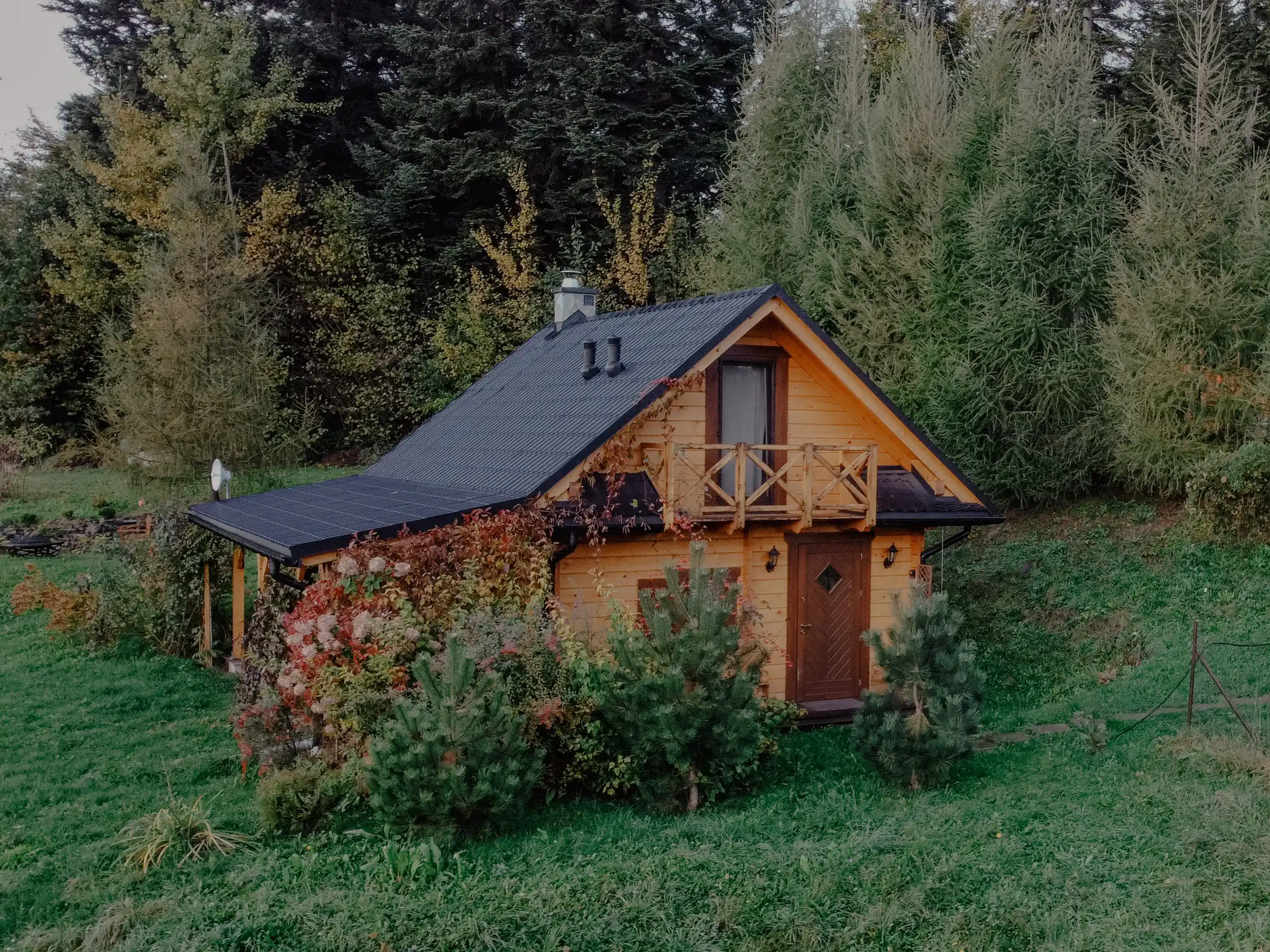 Nasza Mała Poziomka w otoczeniu natury